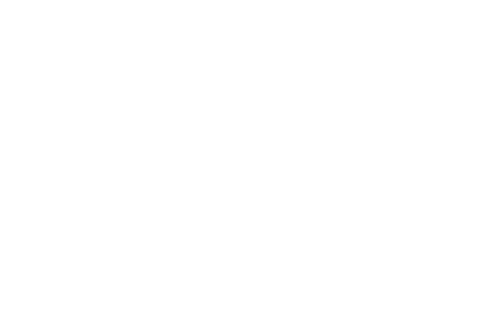 FSB Logo
